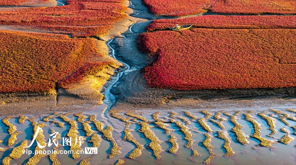 配资指数官网 山东青岛：红海滩绚丽多彩